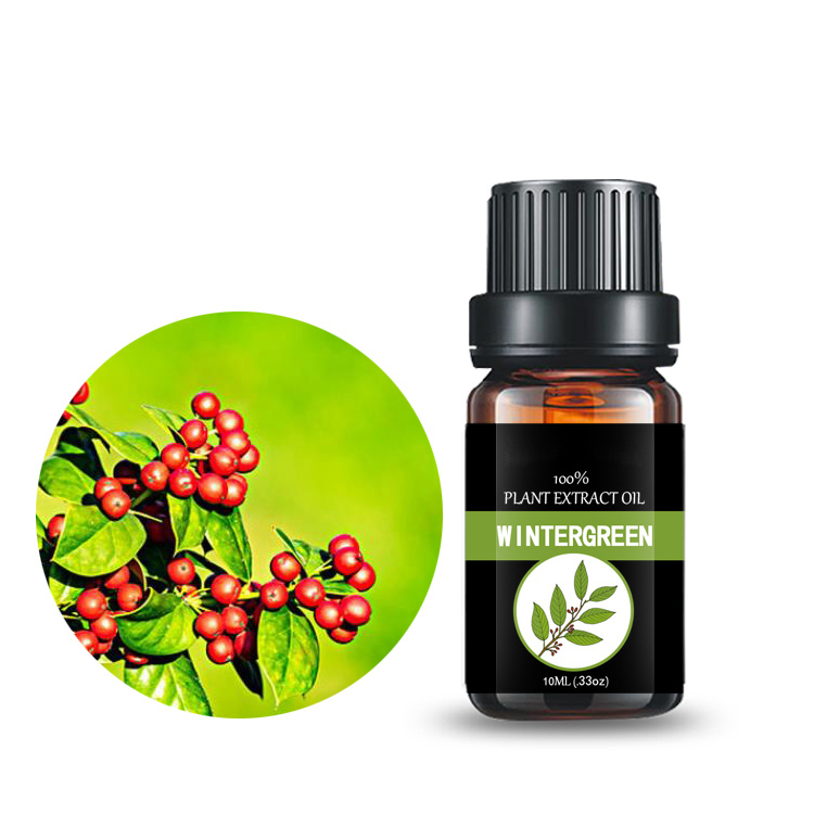 China Wintergreen Oil Gaultheria Extract Methyl Salicylate Manufacturers And Suppliers Baicao